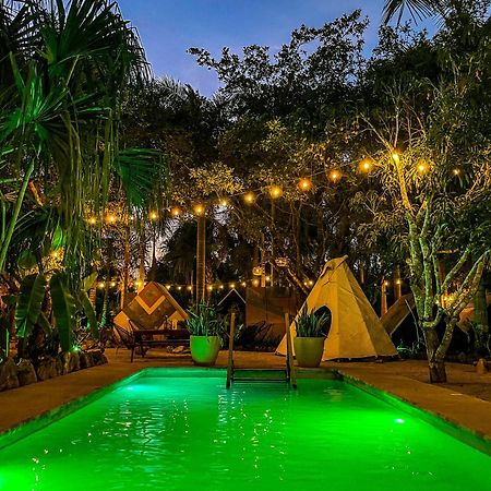 Bufo Alvarius Sanctuary Bacalar Buenavista  Exterior photo