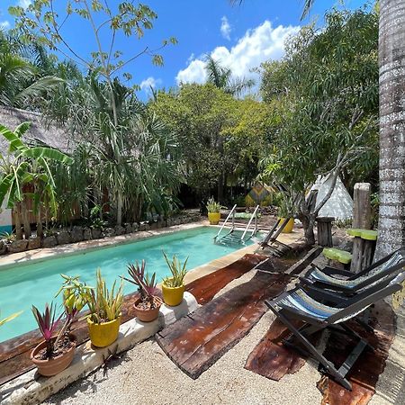 Bufo Alvarius Sanctuary Bacalar Buenavista  Exterior photo