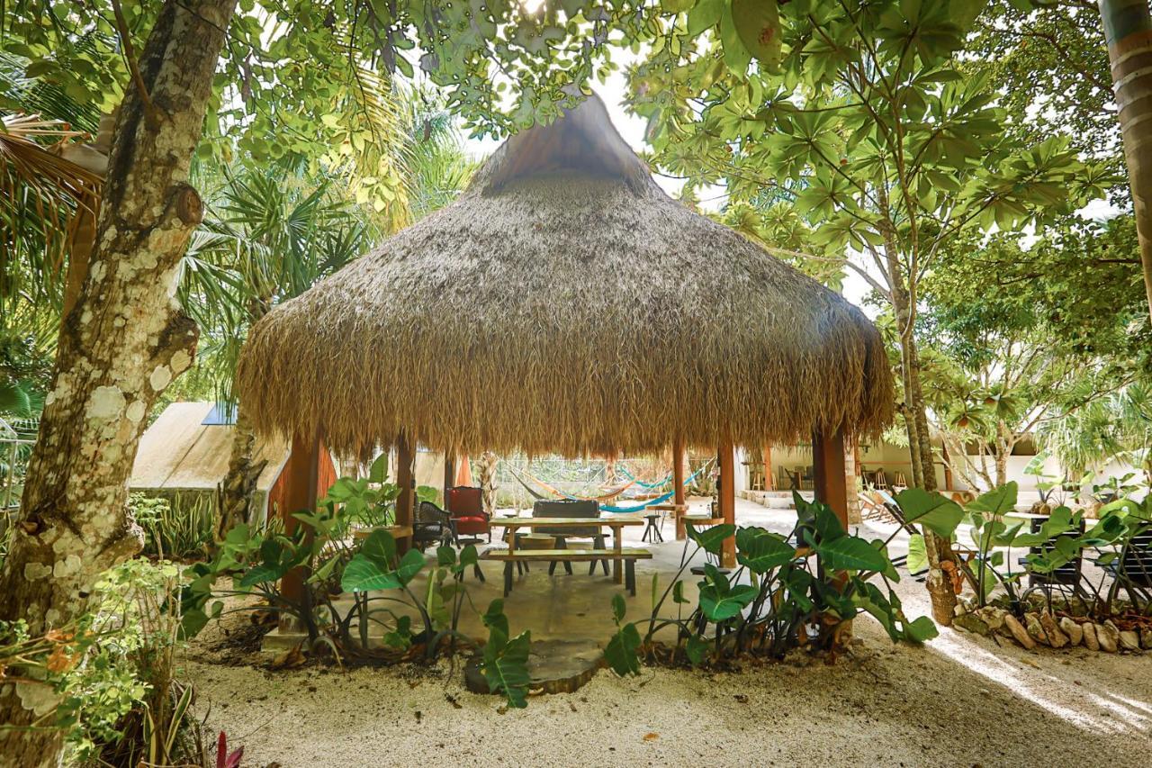 Bufo Alvarius Sanctuary Bacalar Buenavista  Exterior photo