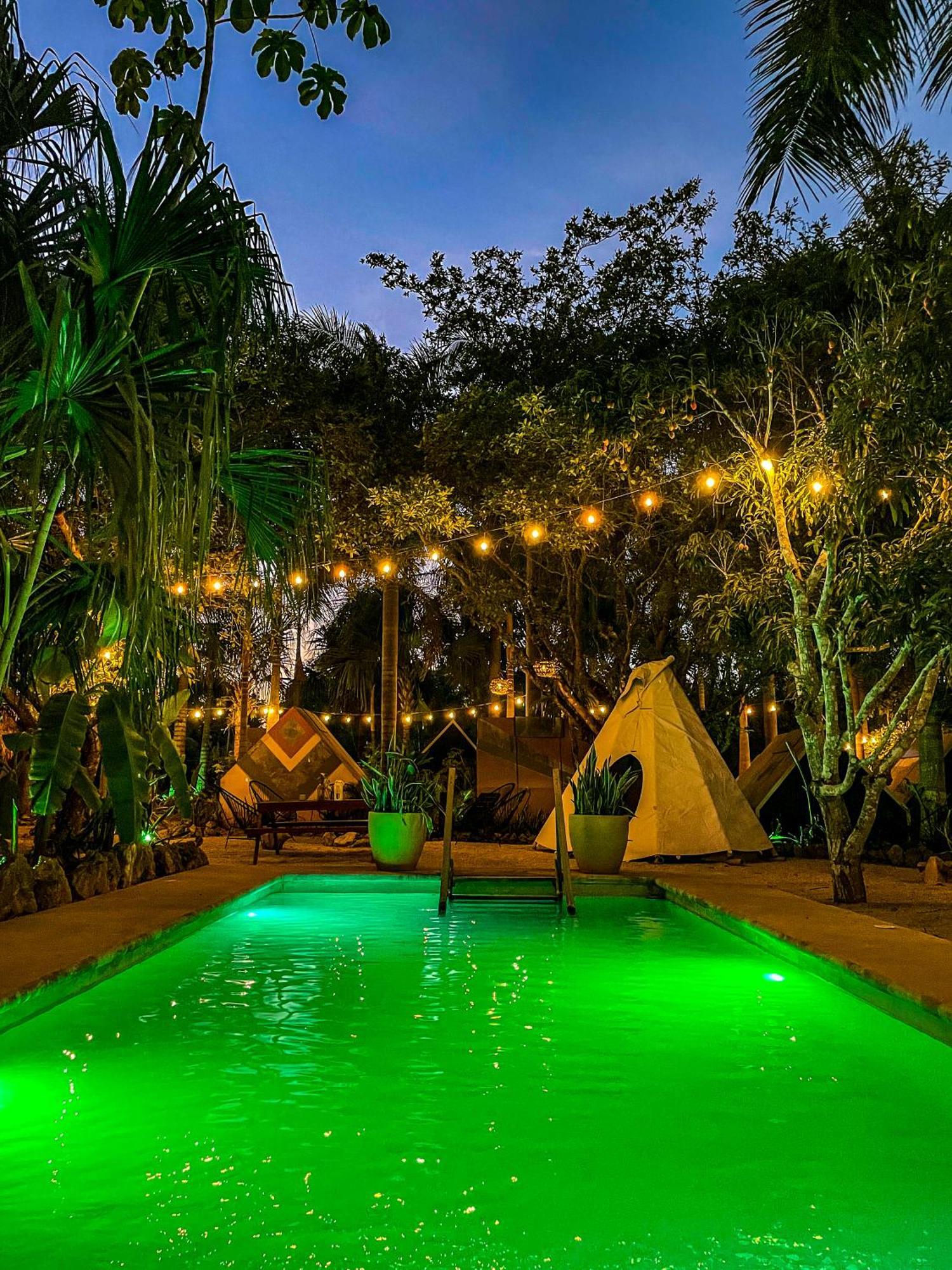 Bufo Alvarius Sanctuary Bacalar Buenavista  Exterior photo