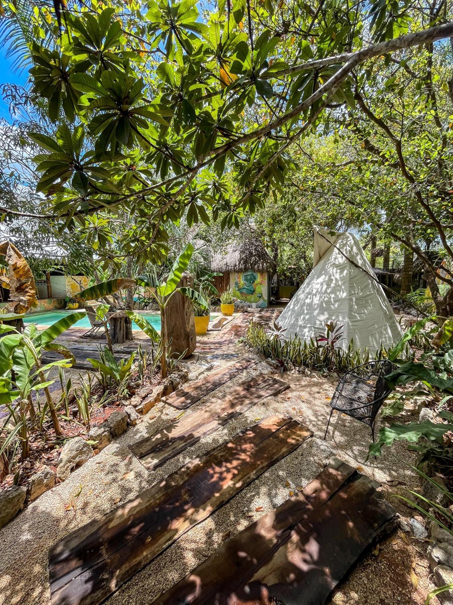 Bufo Alvarius Sanctuary Bacalar Buenavista  Exterior photo