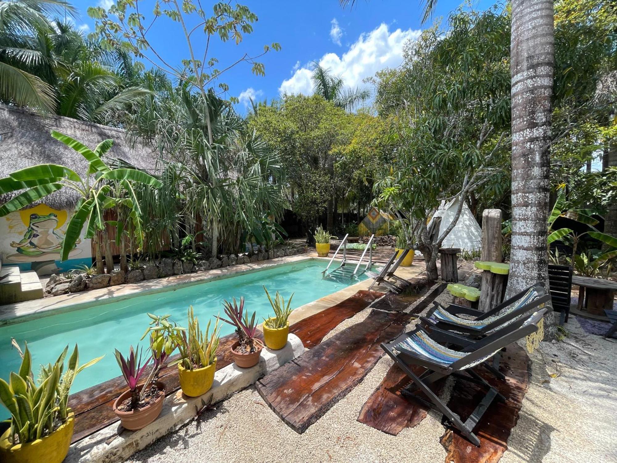 Bufo Alvarius Sanctuary Bacalar Buenavista  Exterior photo